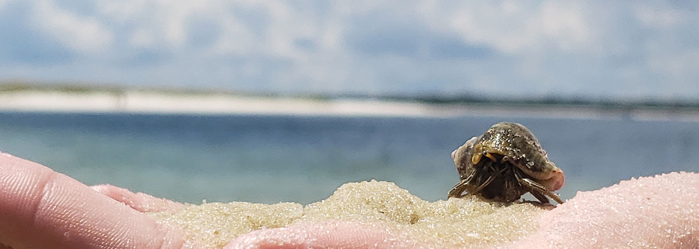 Table setting on the beach